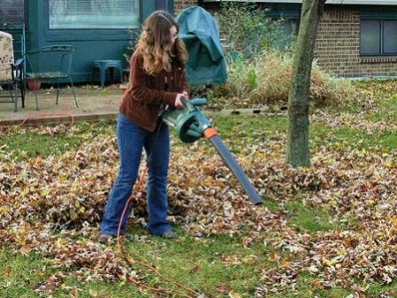 Leaf Blowers for Clean up Leaves in Large Yard