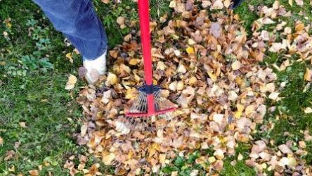 Rakes for Clean up Leaves in Large Yard