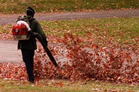 How to CleanUp Leaves in Large Yard