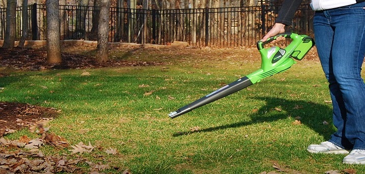 What is the best battery powered leaf blower