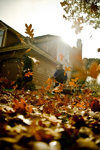 garden Leaf vacuums