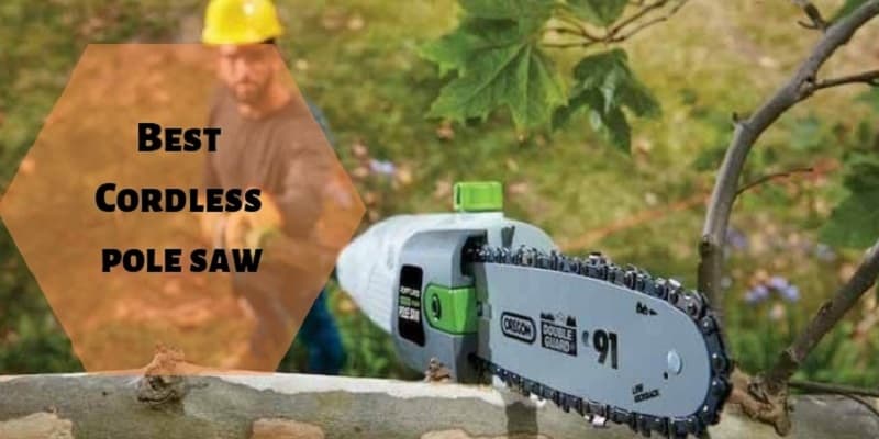 Best Cordless Pole Saw