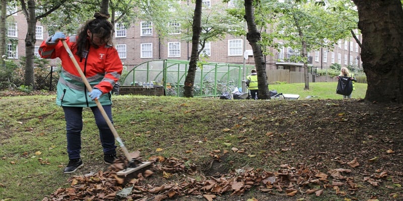 Best Way to Clean up Leaves in Large Yard