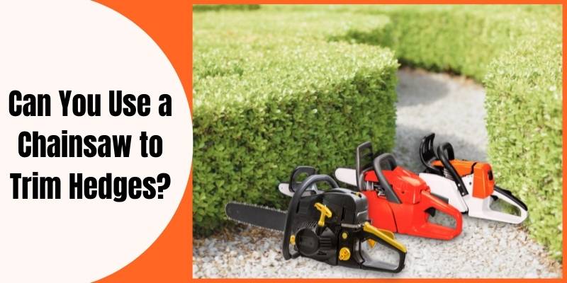 Can you use a chainsaw to trim hedges