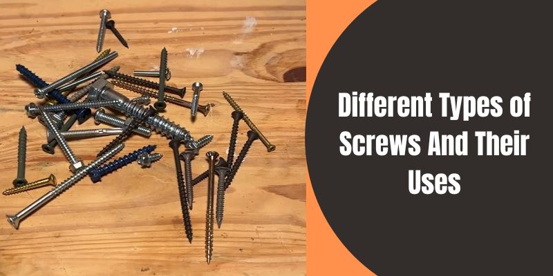 Types of Screws And Their Uses