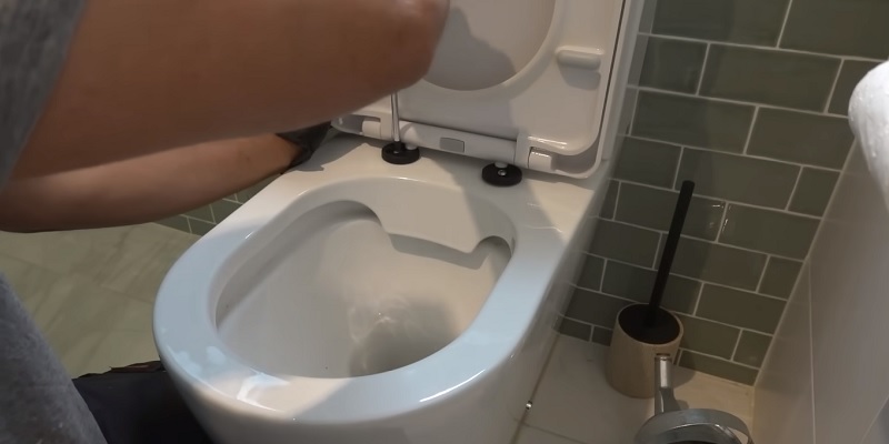 Fixing a Loose Toilet Seat