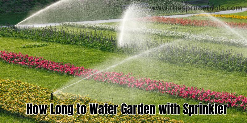 How Long to Water Garden with Sprinkler